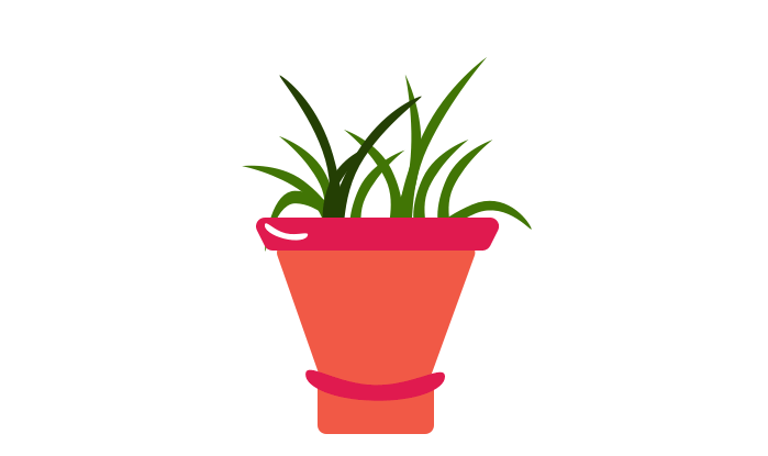 houseplant
